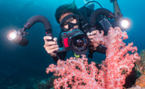 SeaLife Underwater Cameras | Smartphone Dive Housings| Sealife Cameras