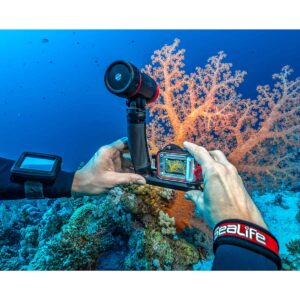 SeaLife ReefMaster RM-4K + Sea Dragon 2000F In Use Underwater