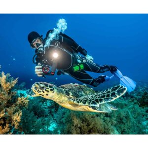 2 Batterie Ricaricabili Li-Ion 700mAh 3.7V Per Fotocamera Sealife Reefmaster DC1200 DC1400, Compatibili NP-45 E Altre
