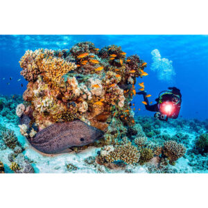 SeaLife Micro 3.0 Camera + Sea Dragon Pro 3000 Photo Light Bundle Underwater