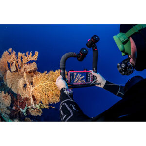 SeaLife Sea Dragon 3000F Light In Use